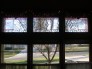 Stained Glass