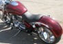 Motorcycle - Custom Airbrushed Themes