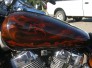 Motorcycle - Custom Airbrushed Themes