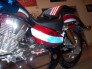 Motorcycle - Custom Airbrushed Themes