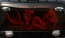 Motorcycle - Custom Airbrushed Themes