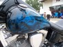 Motorcycle - Custom Airbrushed Themes