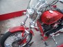 Motorcycle Custom Airbrush Pictorials