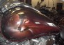 Motorcycle Custom Airbrush Pictorials