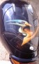 Motorcycle Custom Airbrush Pictorials