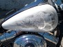 Motorcycle Custom Airbrush Pictorials