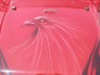 Automotive Graphics & Pictorials