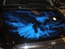 Automotive Graphics & Pictorials