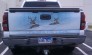 Automotive Graphics & Pictorials