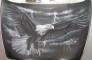 Automotive Graphics & Pictorials