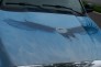 Automotive Graphics & Pictorials