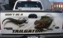 Automotive Graphics & Pictorials