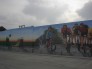 Exterior Murals