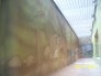 Exterior Murals