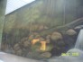 Exterior Murals