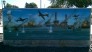 Exterior Murals