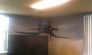 Business Interior Murals
