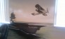 Business Interior Murals