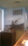 Business Interior Murals