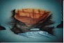 Business Interior Murals