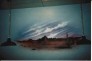 Business Interior Murals