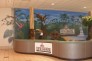 Business Interior Murals