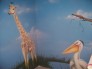Home Interior Murals