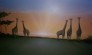 Home Interior Murals