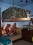 Home Interior Murals