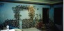 Home Interior Murals