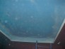 Home Interior Murals