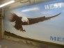 Exterior Murals