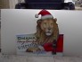 Signage - Painted & Vinyl 