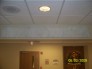 Signage - Painted & Vinyl 